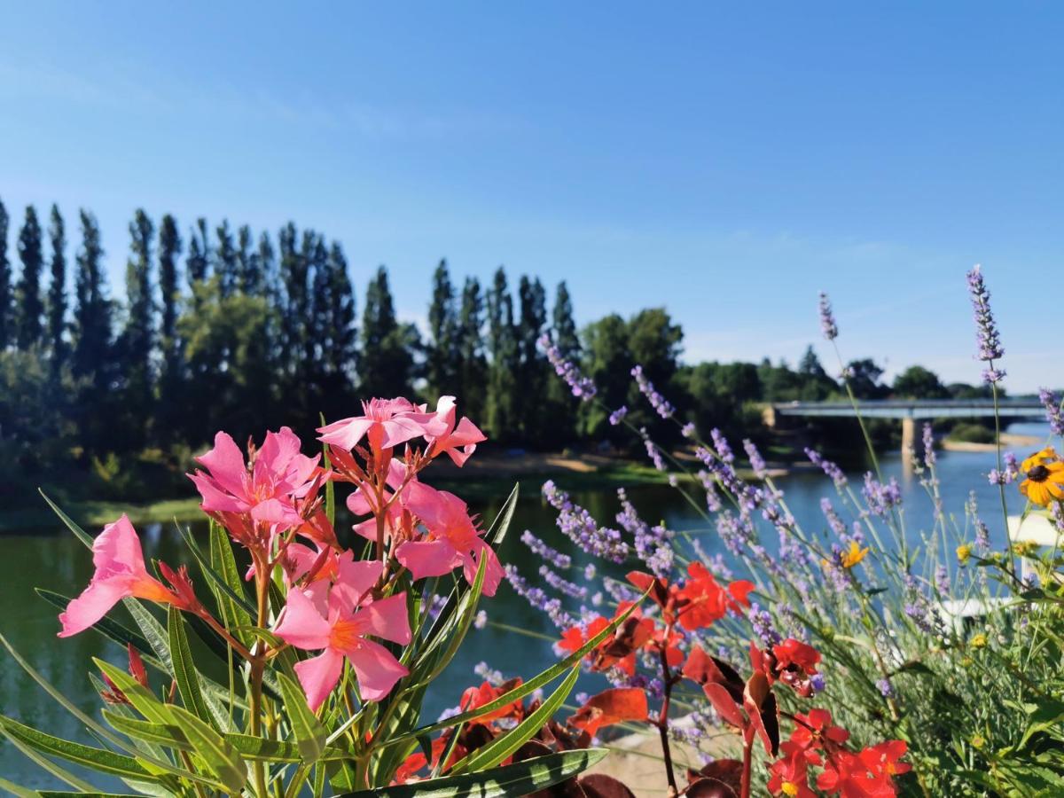 Pessac-sur-Dordogne Au Bord De L'Eau Bed & Breakfast エクステリア 写真